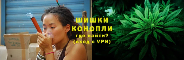 ГАЛЛЮЦИНОГЕННЫЕ ГРИБЫ Новокубанск