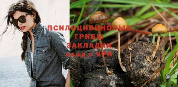 прущие крисы Нея