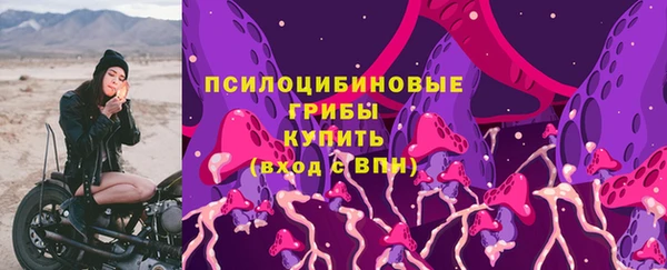 спиды Новозыбков